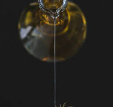 OLIVE AND OLIVE OIL IN AETOLIAN LAND